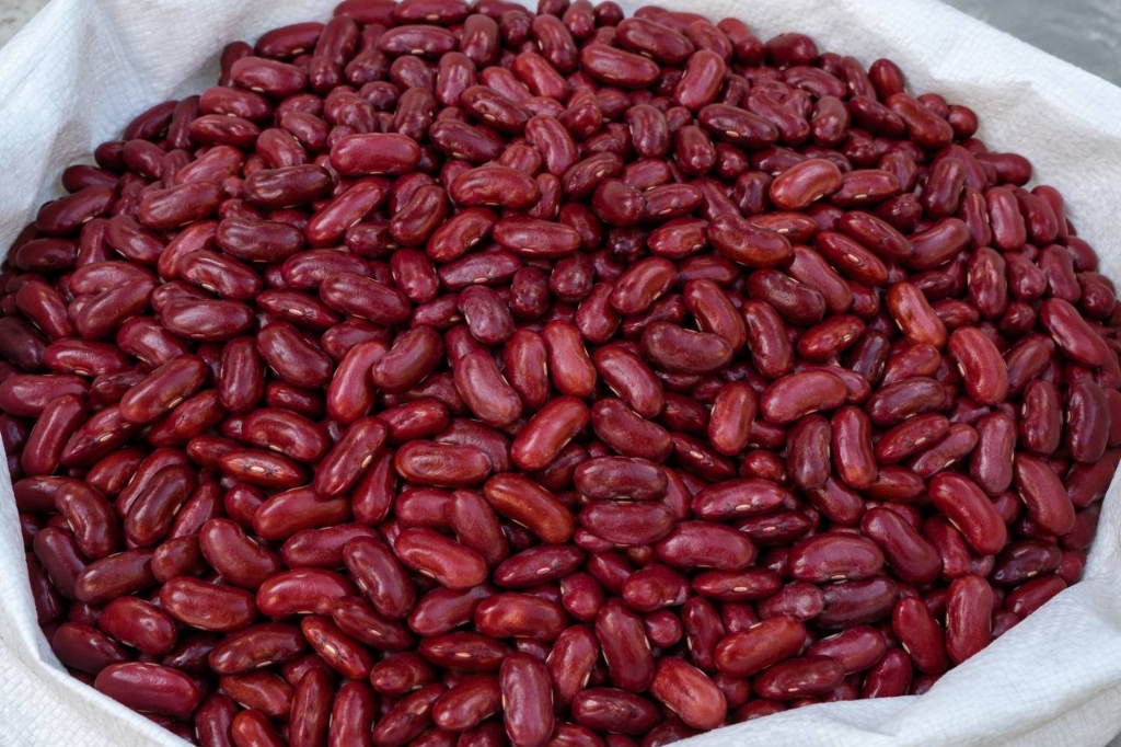Export Red Kidney Beans