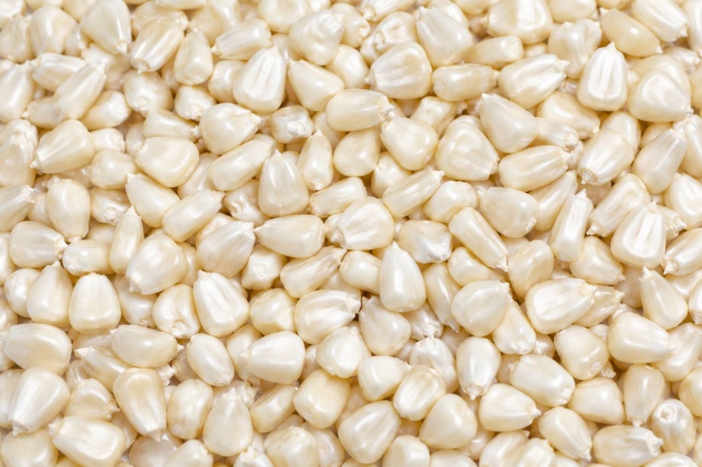 White Maize Tender Reserves
