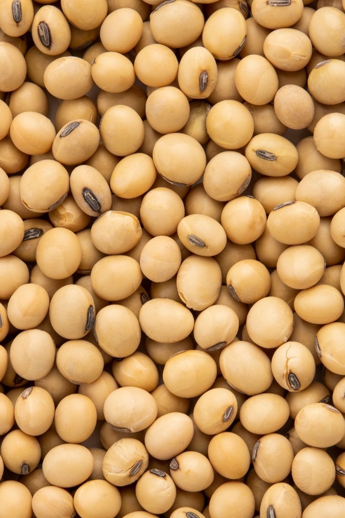 Non-GMO Soya Beans