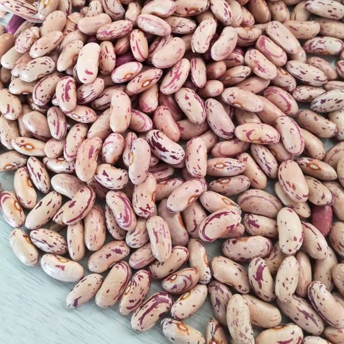 Light Speckled Kidney Beans