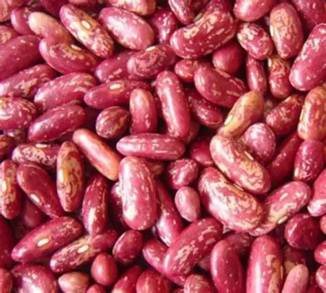 Red Speckled Kidney Beans
